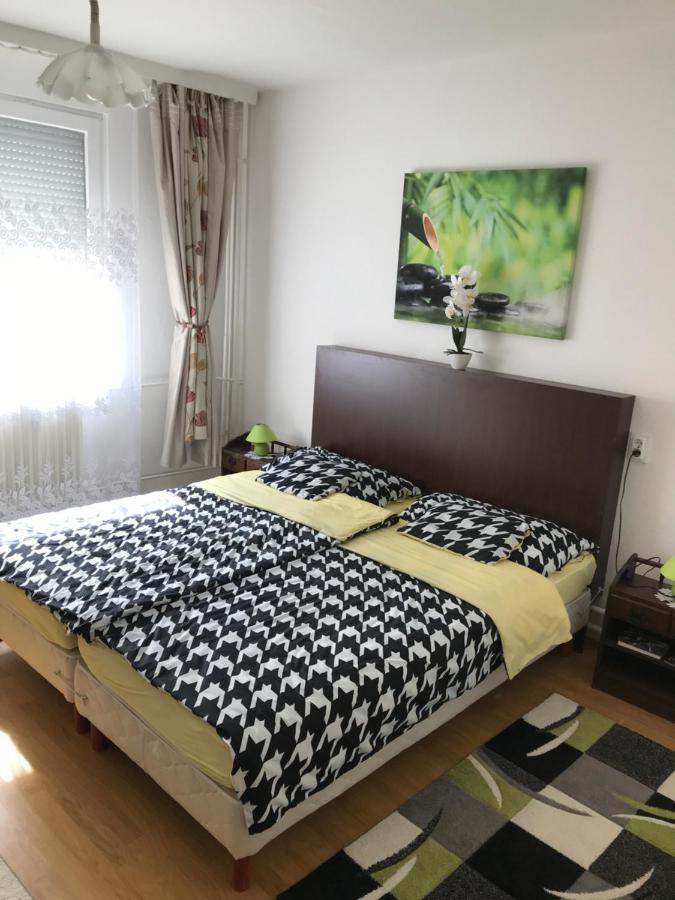 Zen Apartman 솔노크 외부 사진